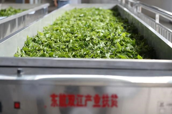 1609818373.png image.png