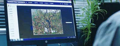 1646977952973859.gif 7.gif