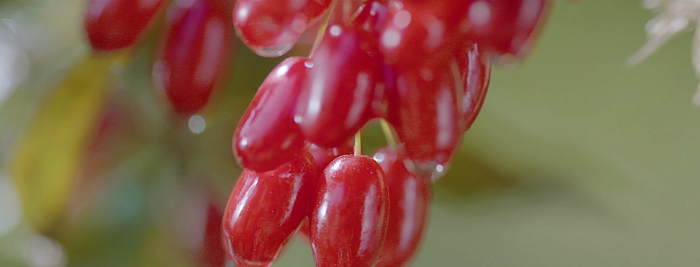 1646793456452874.png 1.png