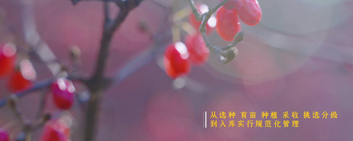 1646793473643241.png 3.png