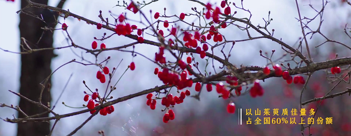 1646793962779183.png 6.png