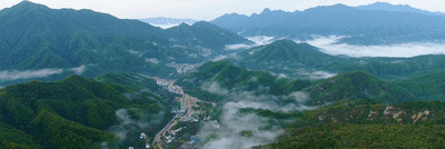 1646977875431702.gif 3.gif