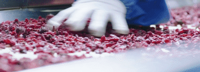 1646978368370181.gif 20.gif