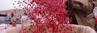 1646978449990336.gif 22.gif