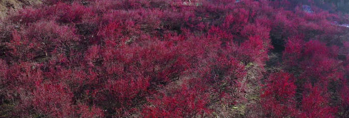 1646793466251833.png 2.png