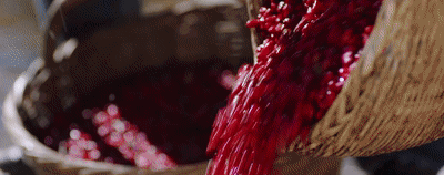 1646794818664796.gif 14.gif