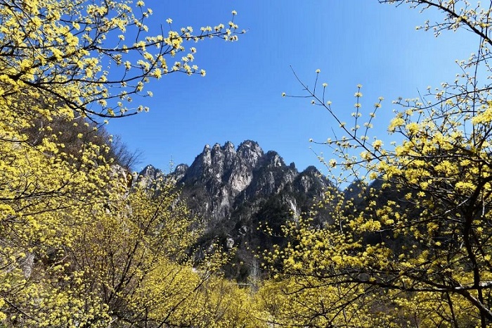 1646793890546010.jpg 2.jpg