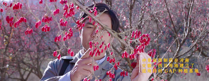 1646794805774586.png 13.png