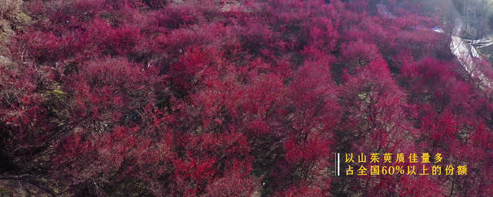 1646793940492433.png 5.png